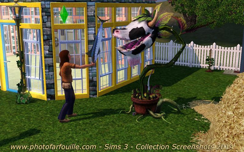 nourrir la plante vache sims 3