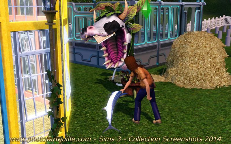 nourrir la plante vache sims 3