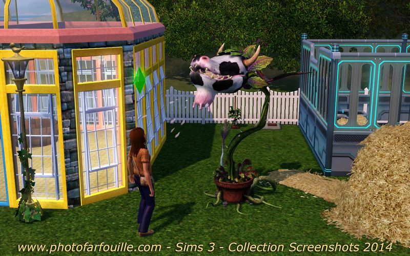 nourrir la plante vache sims 3