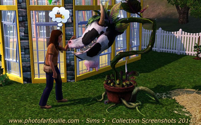 nourrir la plante vache sims 3