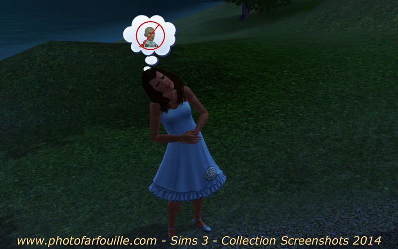 Sims 3 Enlevement