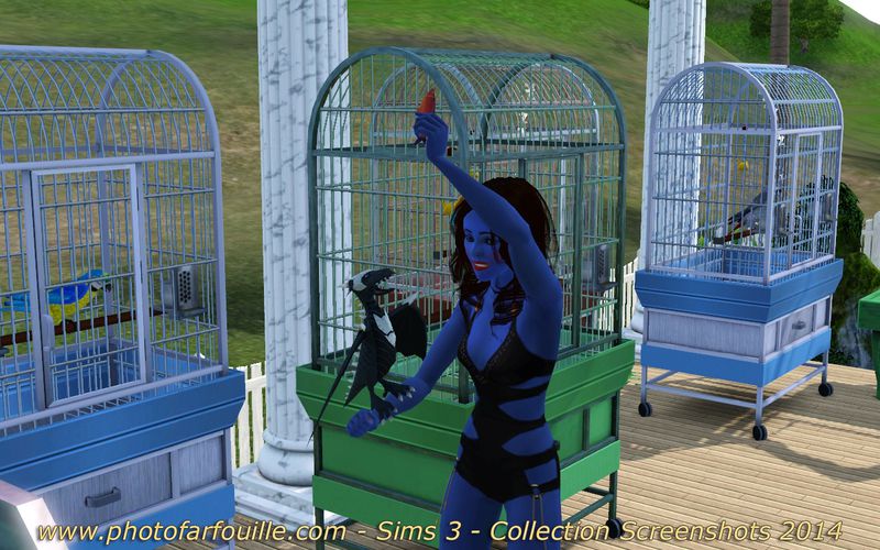 Sims 3 Naissance Dragon Noir