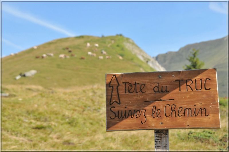 Mont-Truc 100