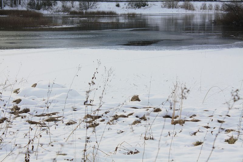 lac gelé 010