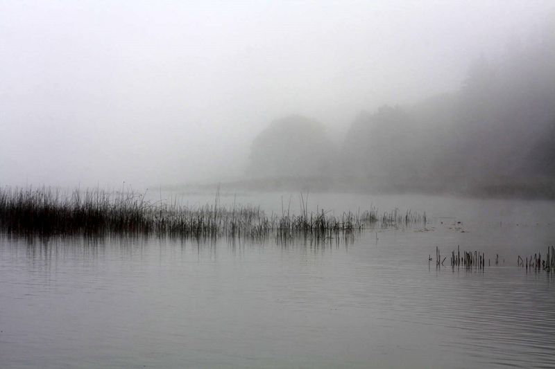 brouillard fin sept 047r