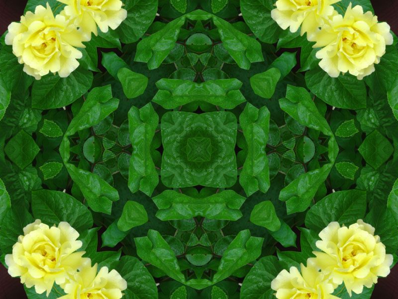 image-kaleidoscope-mandala-photofarfouille