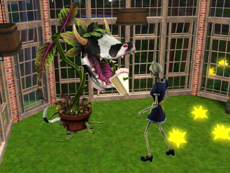 plante vache mange brunehilde