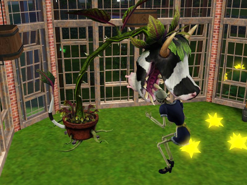 plante vache mange brunehilde