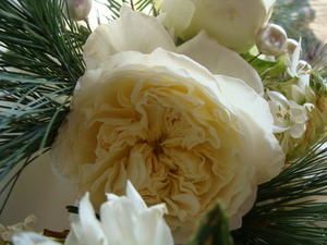 photos-diverses-400.jpg