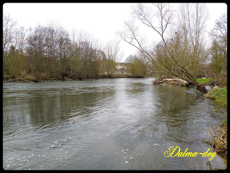 au-bord-de-la-riviere--5-.JPG