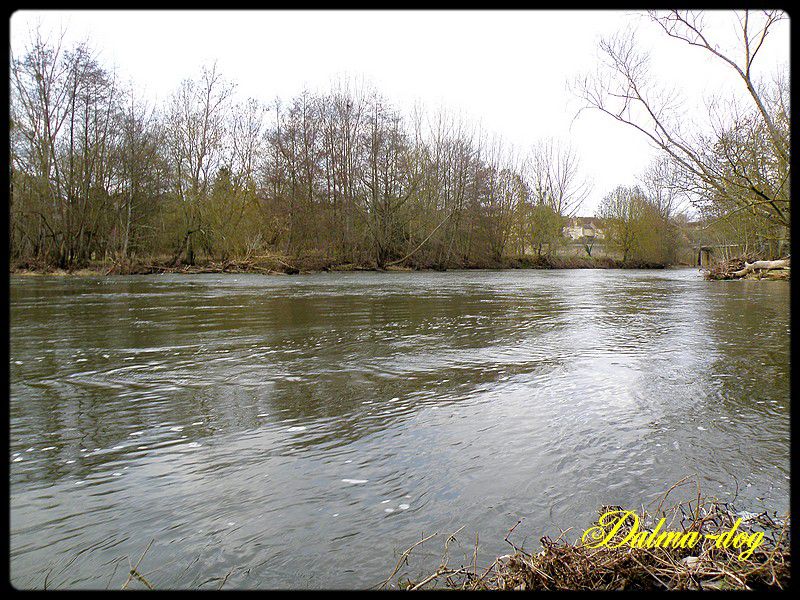 au-bord-de-la-riviere--7-.JPG