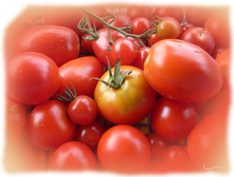 croquantes-tomates.jpg