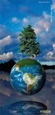 environnement, planète et arbre