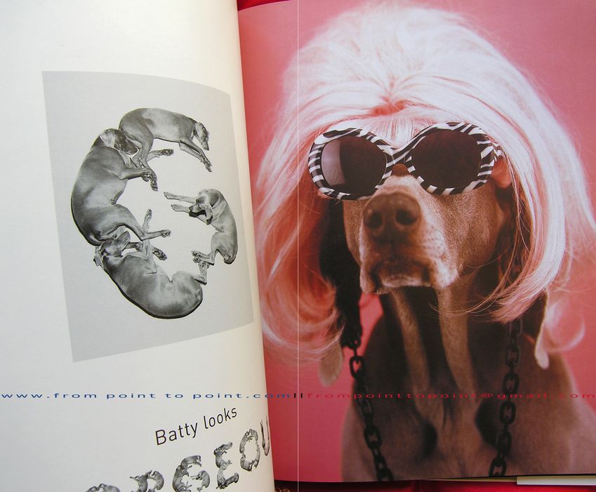 William-Wegman-from-point-to-point-Wegmannology.jpg