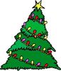 sapin.jpg