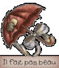 20685589_p.gif