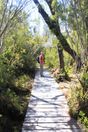 105 isla chiloé-parque sendero el tepual
