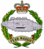 RTR cap badge