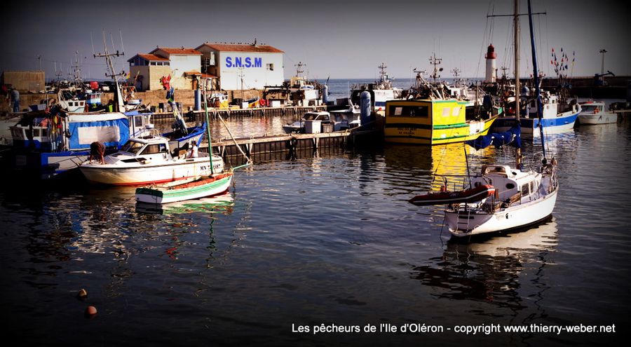 pecheurs-oleron (11)