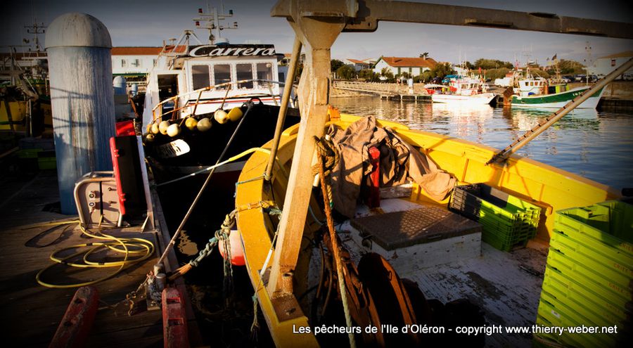 pecheurs-oleron (18)