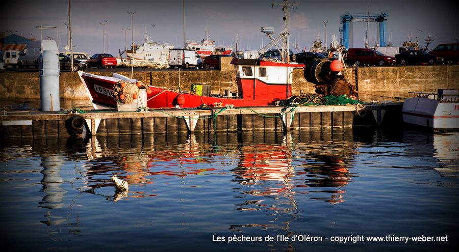 pecheurs-oleron (23)