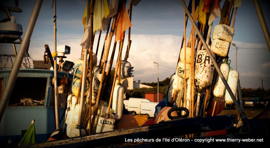 pecheurs-oleron (37)
