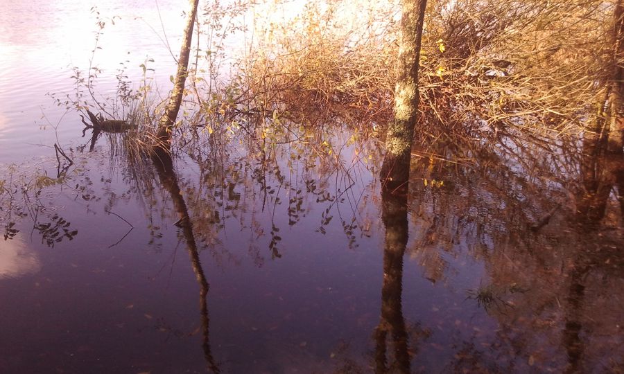 2012-11-05 14.51.29