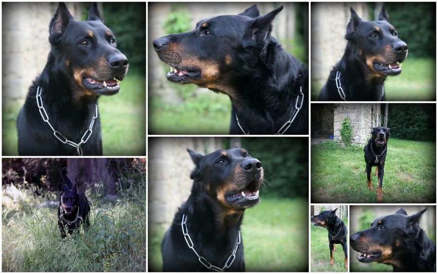 Platon1