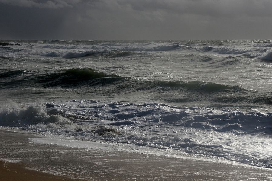 hiver-en-loire-atlantique (122)