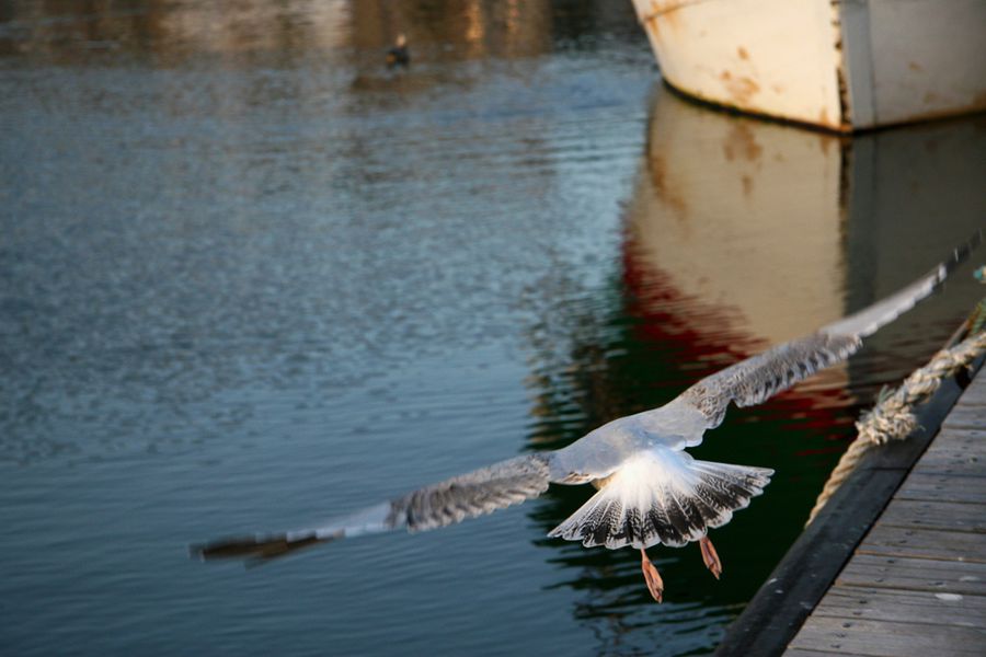 bretagne (15)