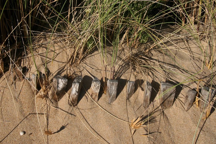 dunes-atlantique