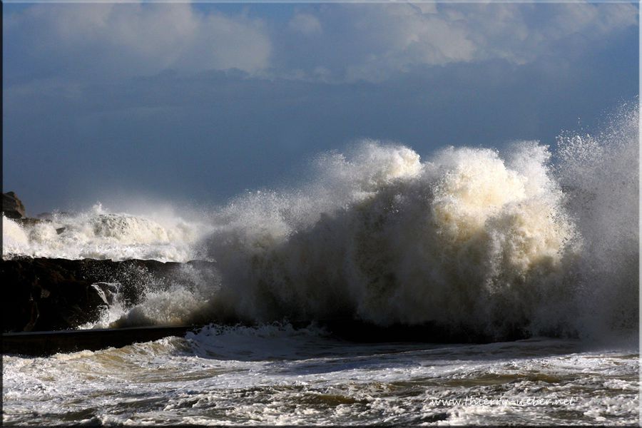 grains-de-tempete (3)