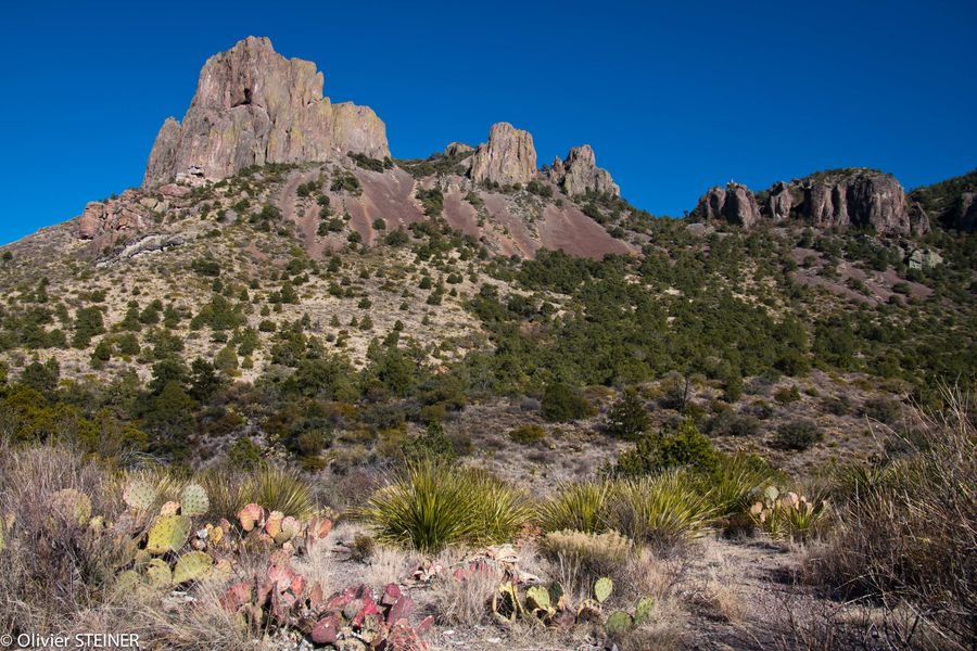 Big Bend - Allo, Houston