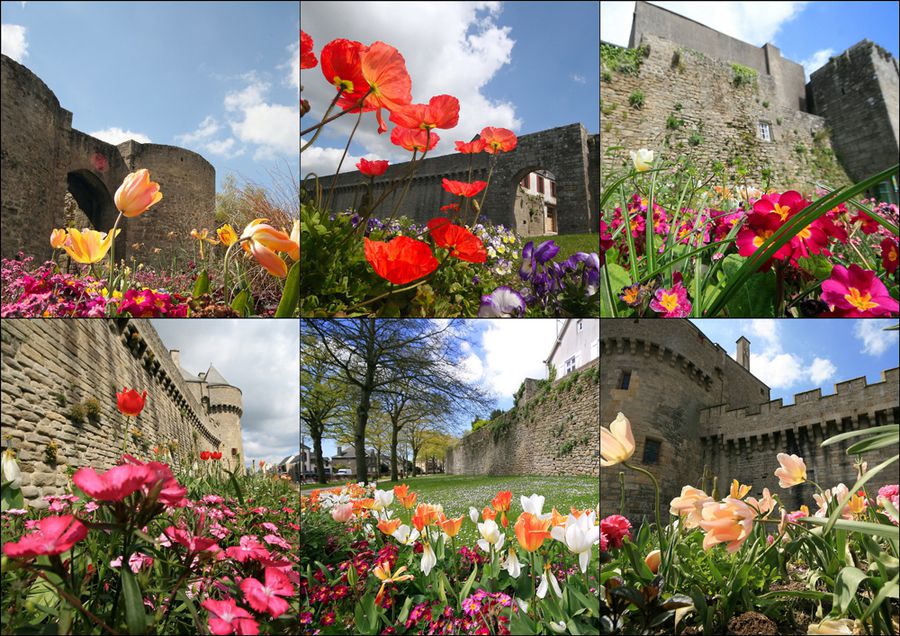 cartes-postales (51)