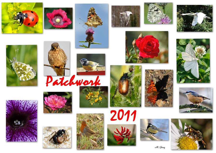 patchwork-2011-rec--2.jpg
