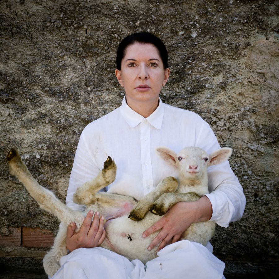 Marina-Abramovic-From-poin-to-point-Portrait-agneau