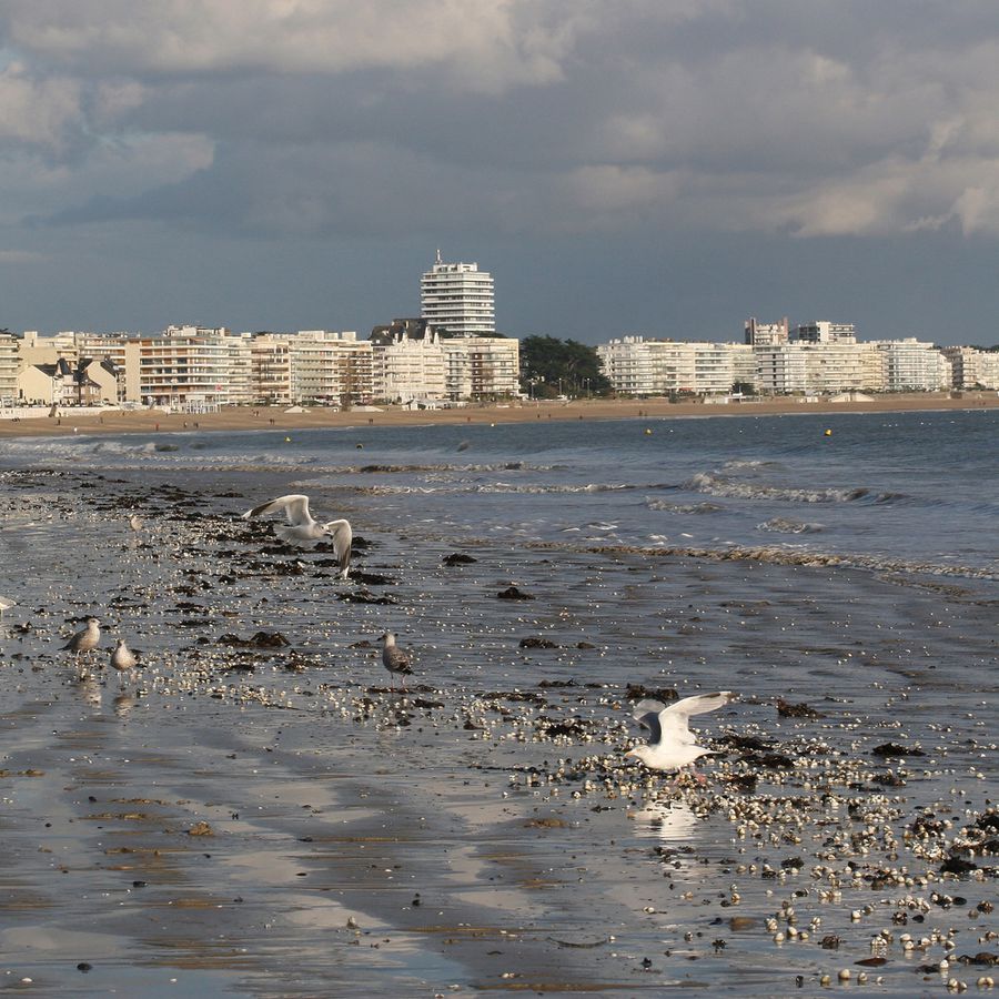 baie-de-la-baule (62)