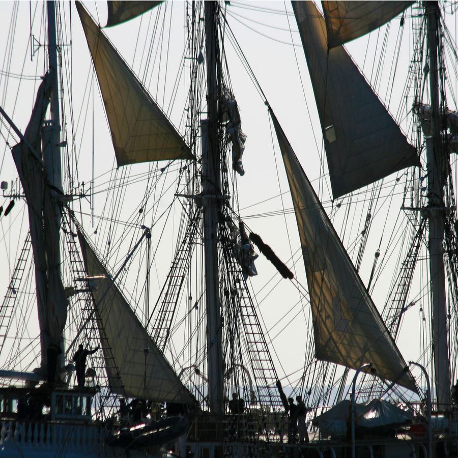 les-voiles-du-Belem (72)