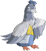 pigeon-voyag