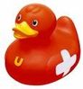 canard-2.jpg