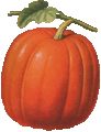 citrouille