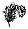 plume.jpg