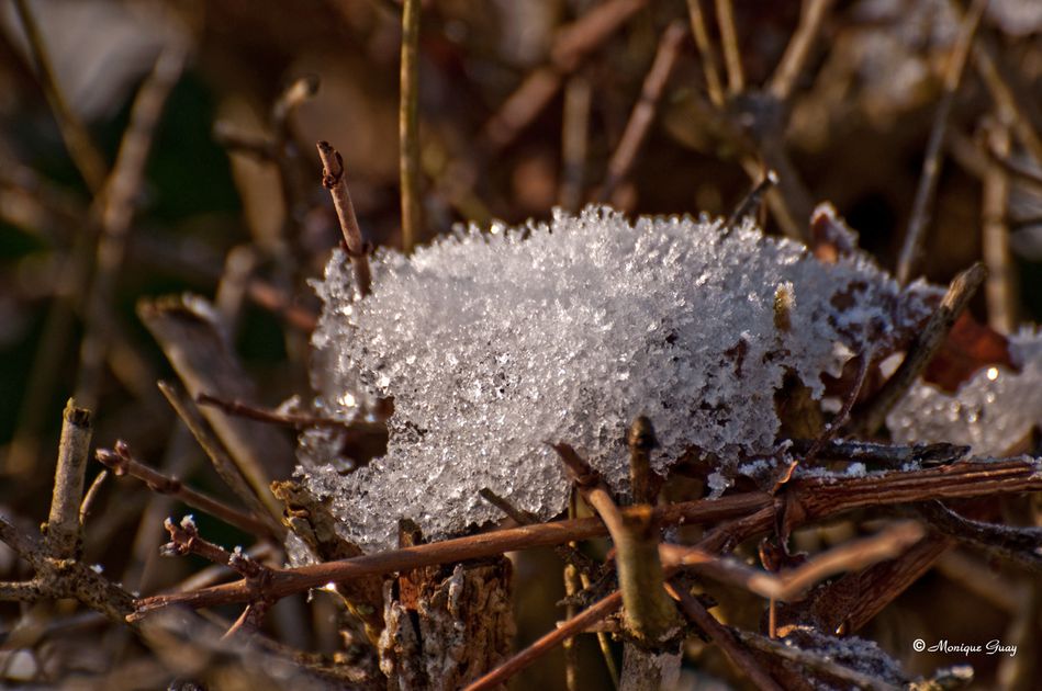 flocons-neige-2614.jpg