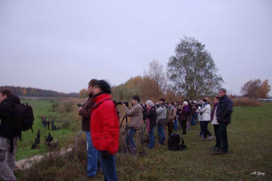 photographes-1710.jpg
