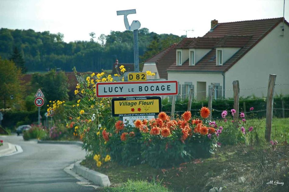 fleurs-lucy-le-bocage-1571.jpg