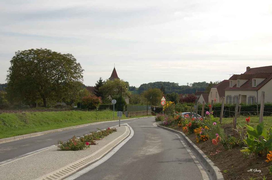 fleurs-lucy-le-bocage-1576.jpg