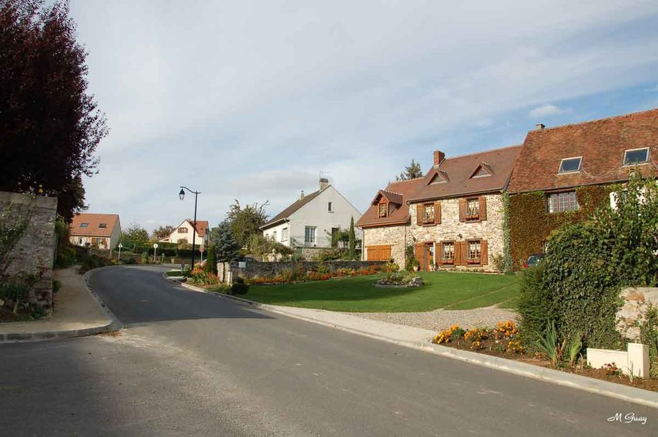 fleurs-lucy-le-bocage-1586.jpg