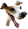 chienne