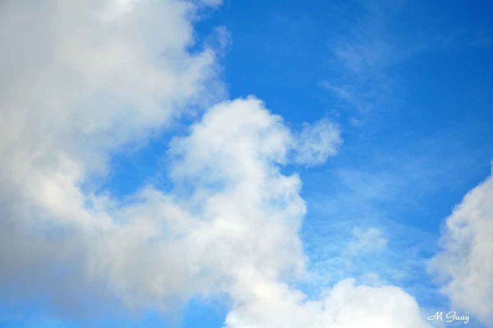 caniche-nuages-0651.jpg