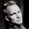 sting.jpg